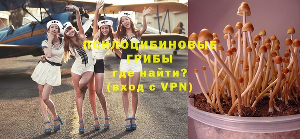 стаф Беломорск