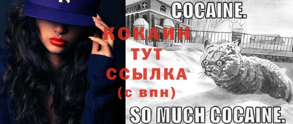 стаф Беломорск