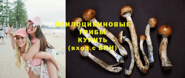 стаф Беломорск
